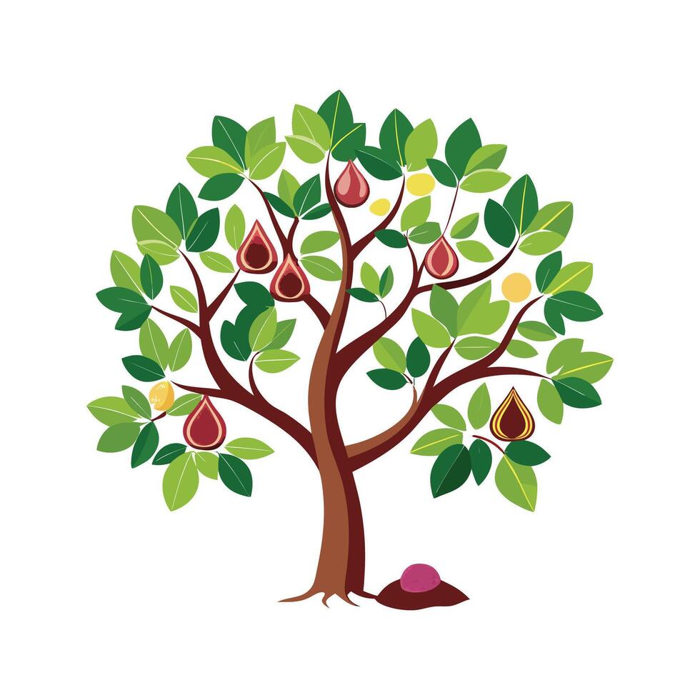 Stylish Fig Tree Outline Design vector
