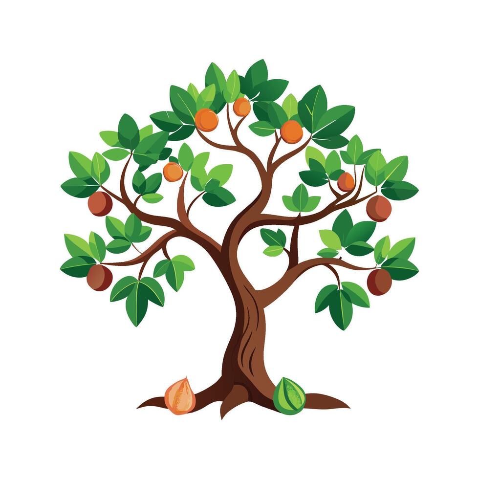 Fig Tree Design vector