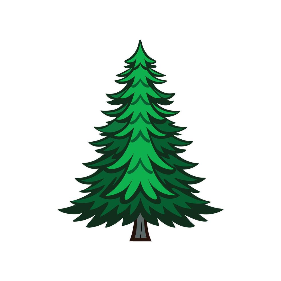 Distinct Fraser Fir Tree Outline Art vector