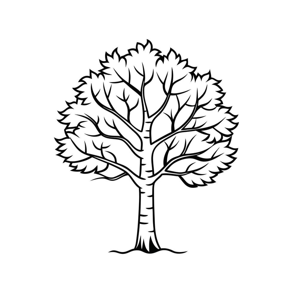 Himalayan Birch Tree Bold Outline Design 1 vector