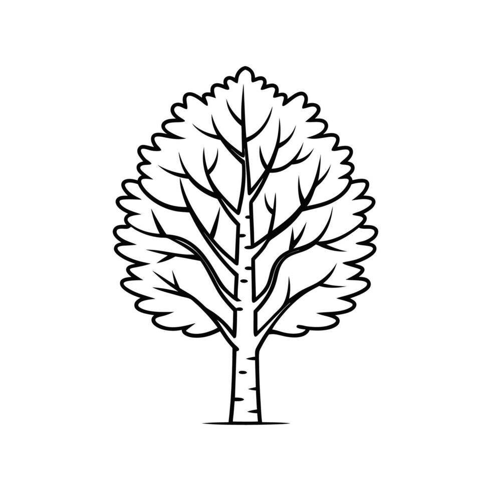 Stylish Himalayan Birch Tree Outline Graphic vector