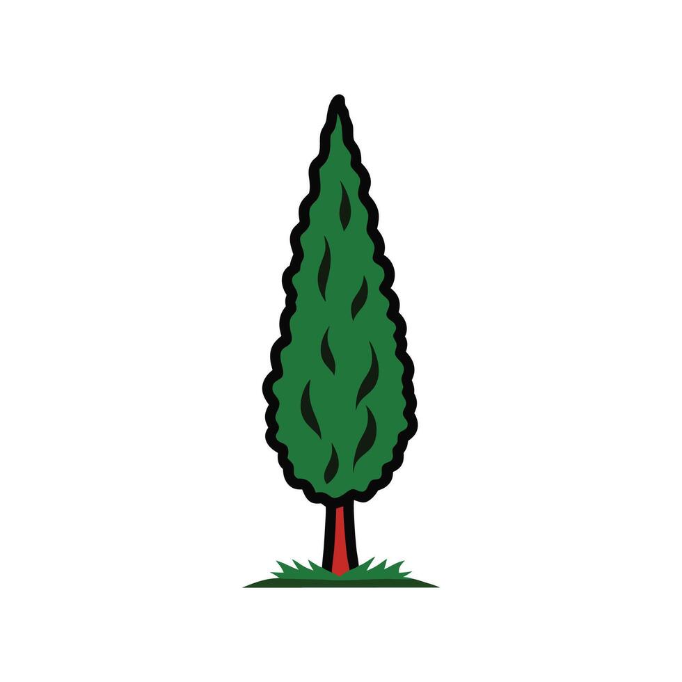Stylish Italian Cypress Tree Outline Graphic vector
