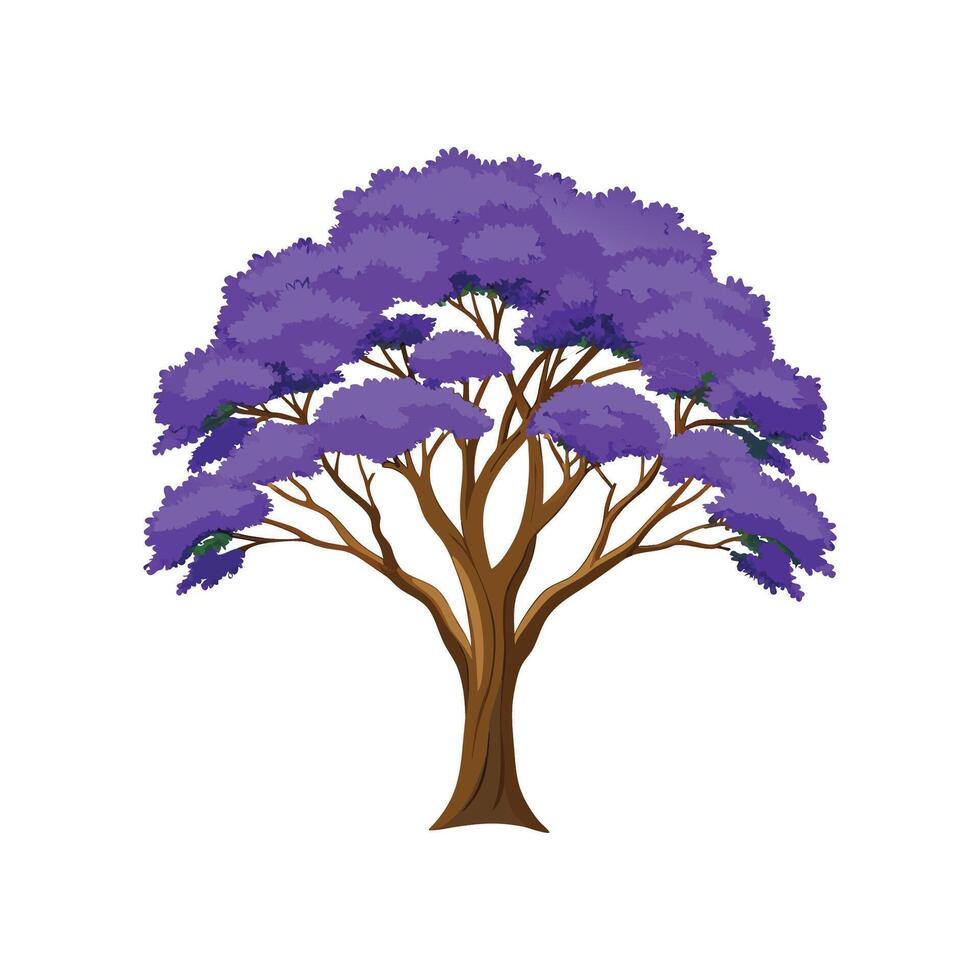 Distinct Jacaranda Tree Outline Art vector