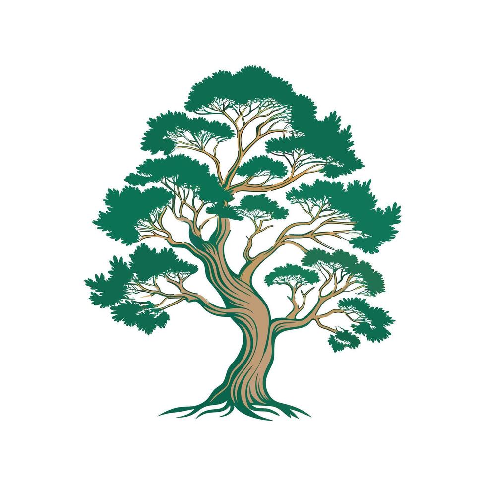 Distinct Juniper Tree Outline Art vector