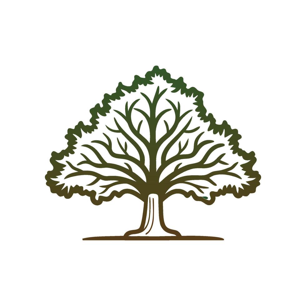 Kentucky Coffee Tree Bold Outline Design 1 vector