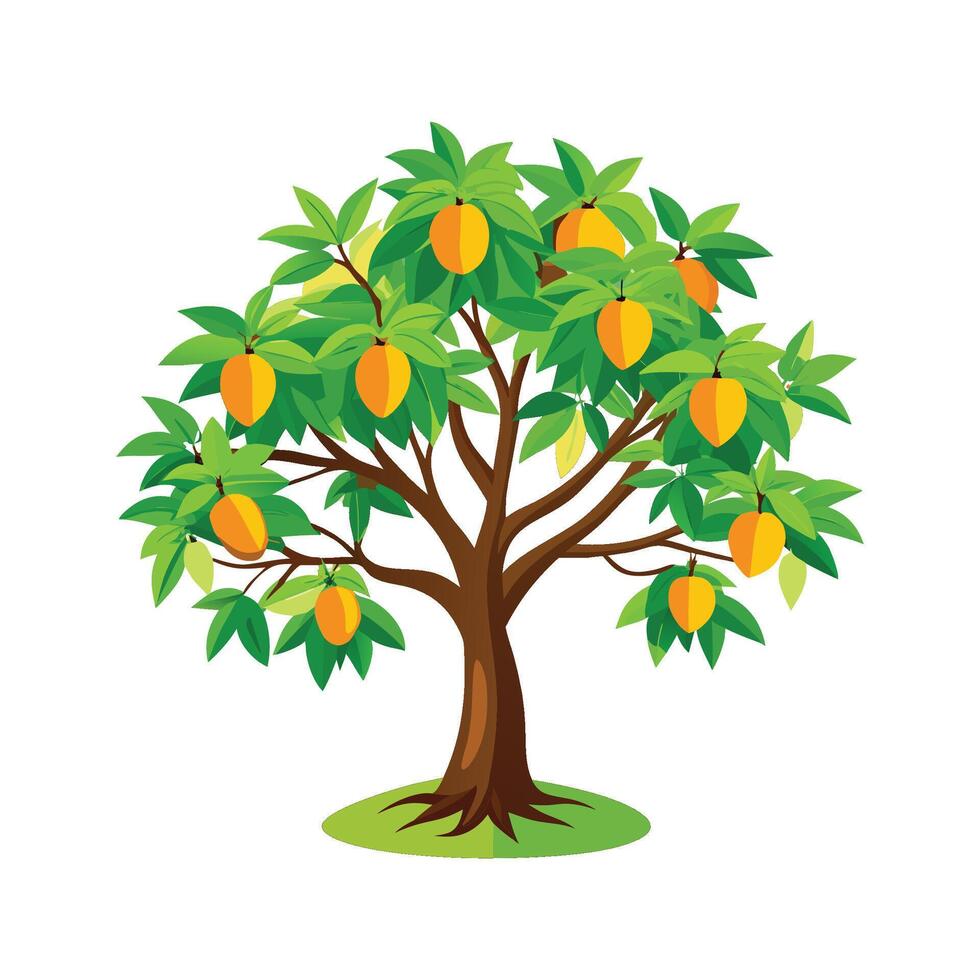 Mango Tree Design vector