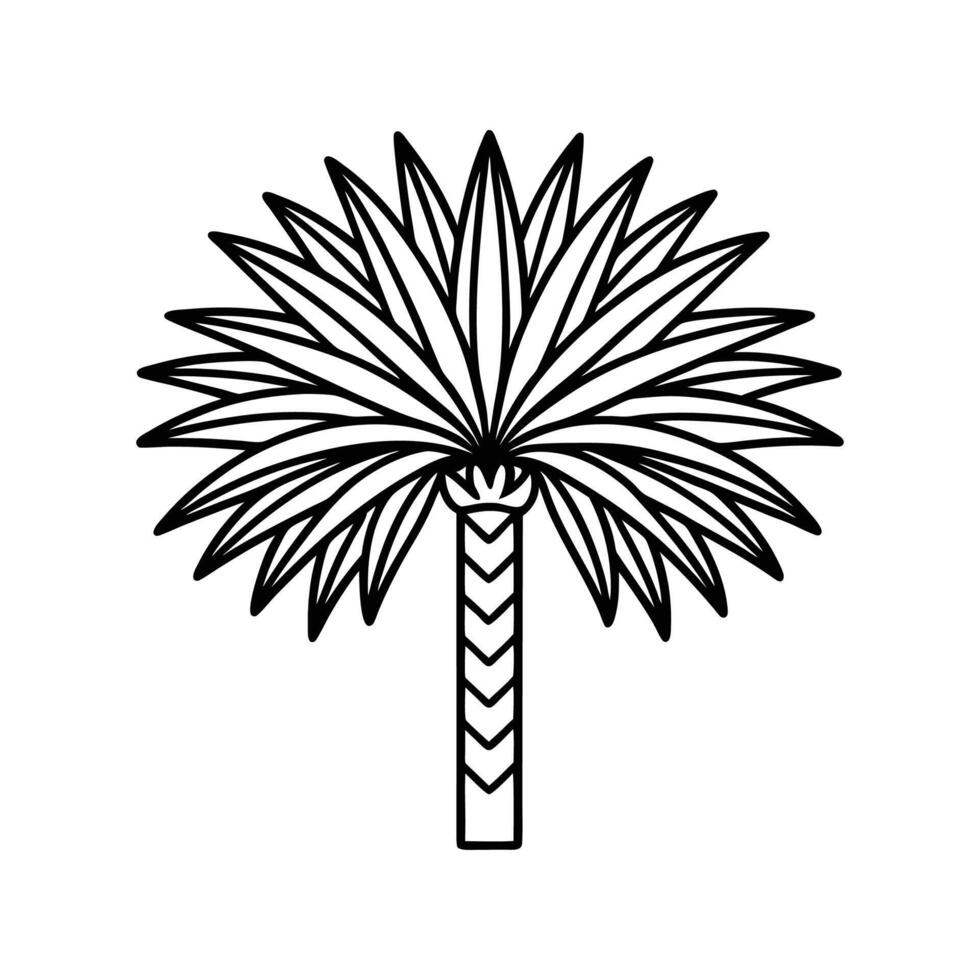 Mexican Fan Palm Tree Bold Outline Design 3 vector