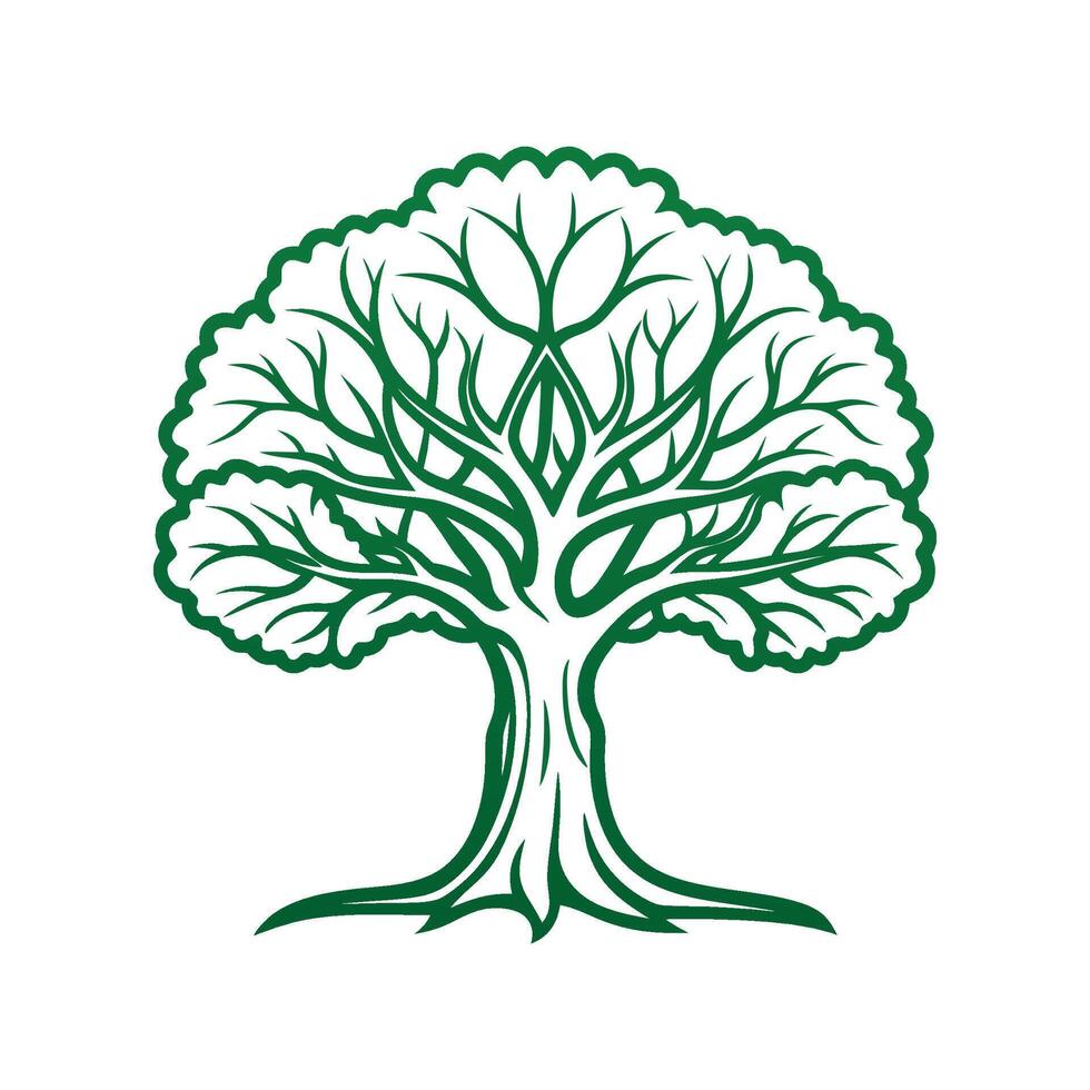 Moreton Bay Fig Tree Bold Outline Design 3 vector