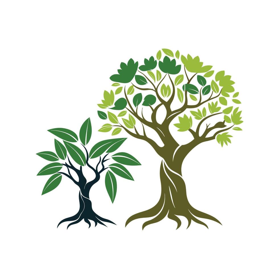 Distinct Olive Tree and Indian Banyan Tree Outline Art vector