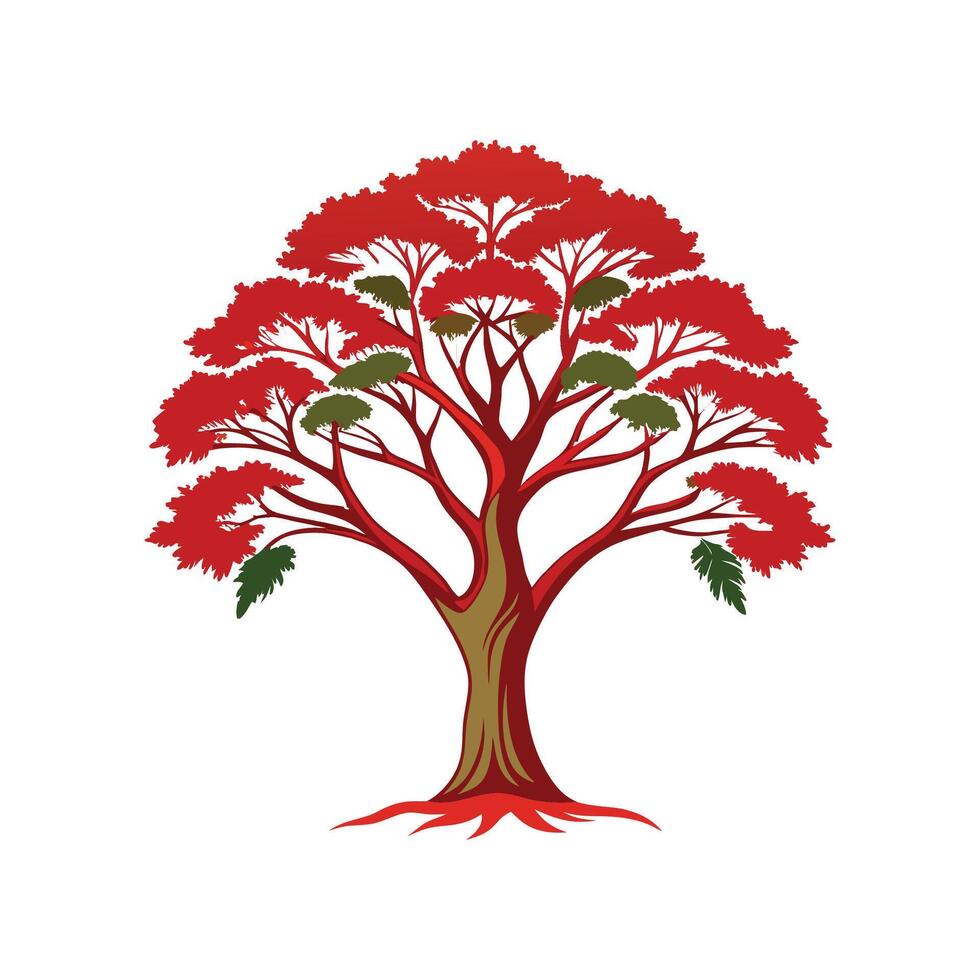 Pacific Madrone Tree Bold Outline Design 1 vector