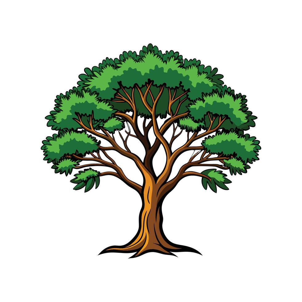 Pacific Madrone Tree Bold Outline Design 2 vector