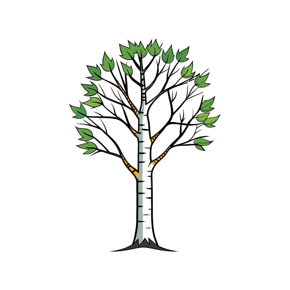 Paper Birch Tree Bold Outline Design 1 vector