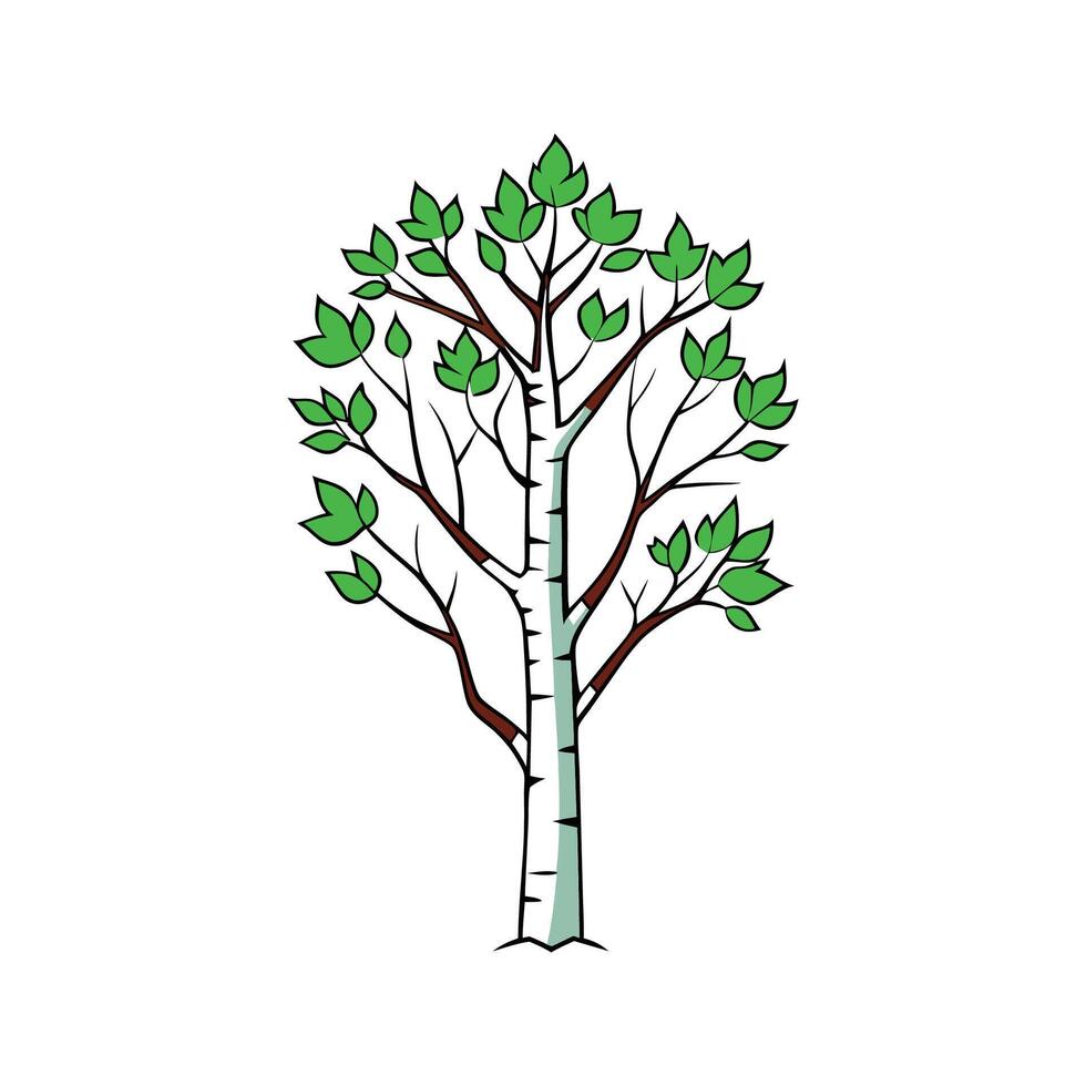 Distinct Paper Birch Tree Outline Art vector