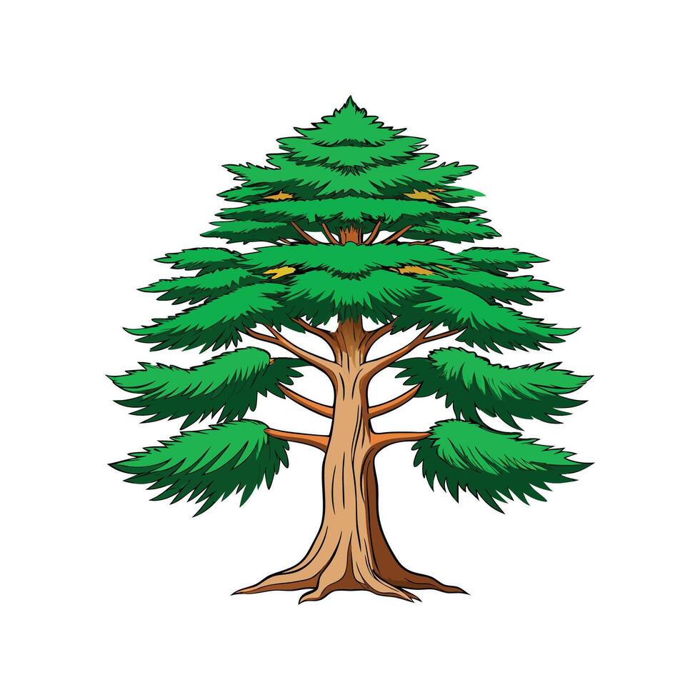 Distinct Pencil Cedar Tree Outline Art vector