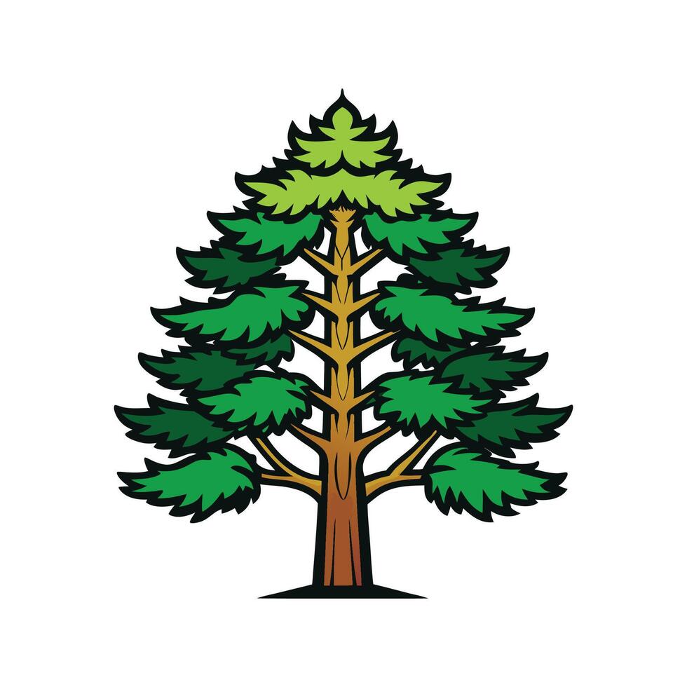 Distinct Parana Pine Tree Outline Art vector