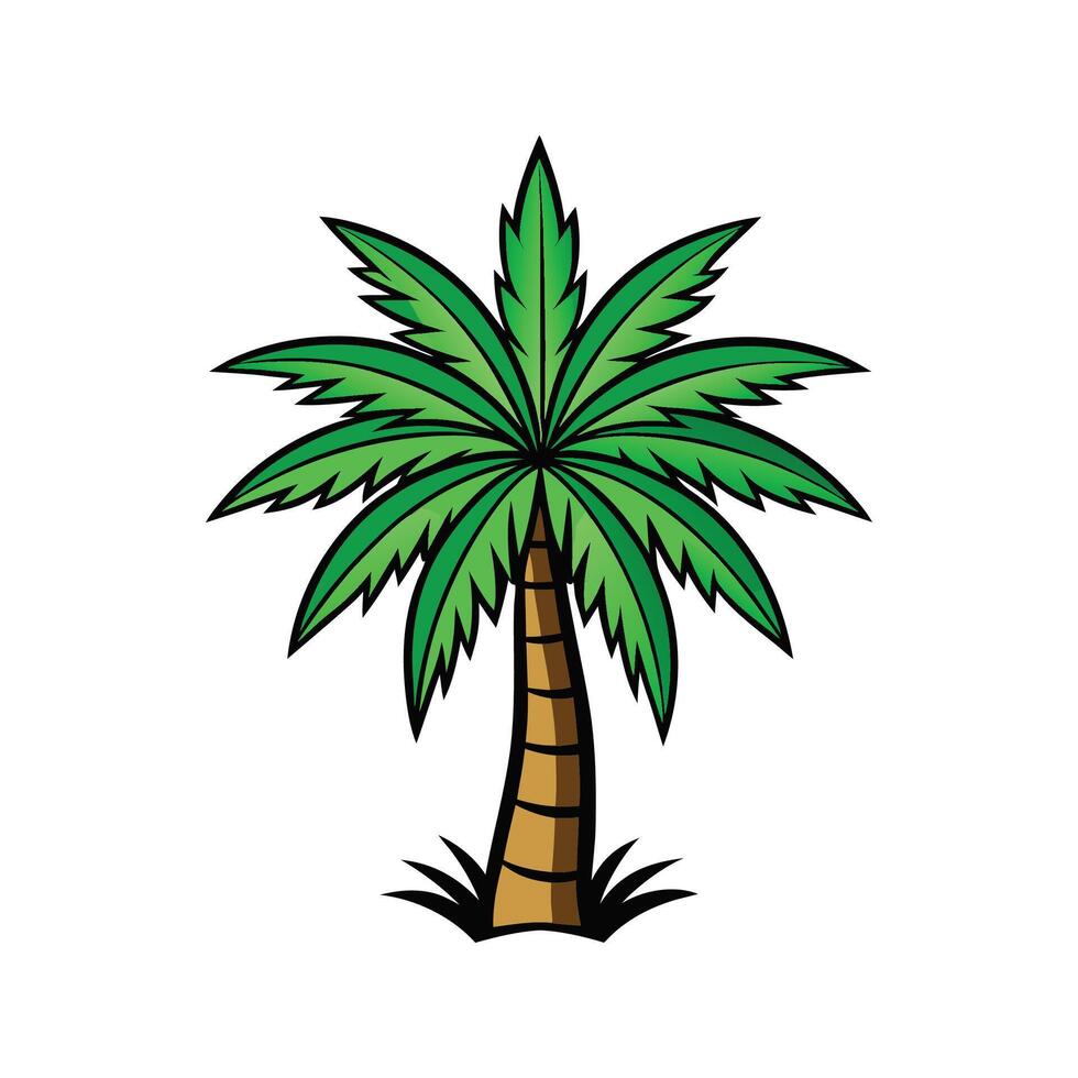Distinct Queen Palm Tree Outline Art vector