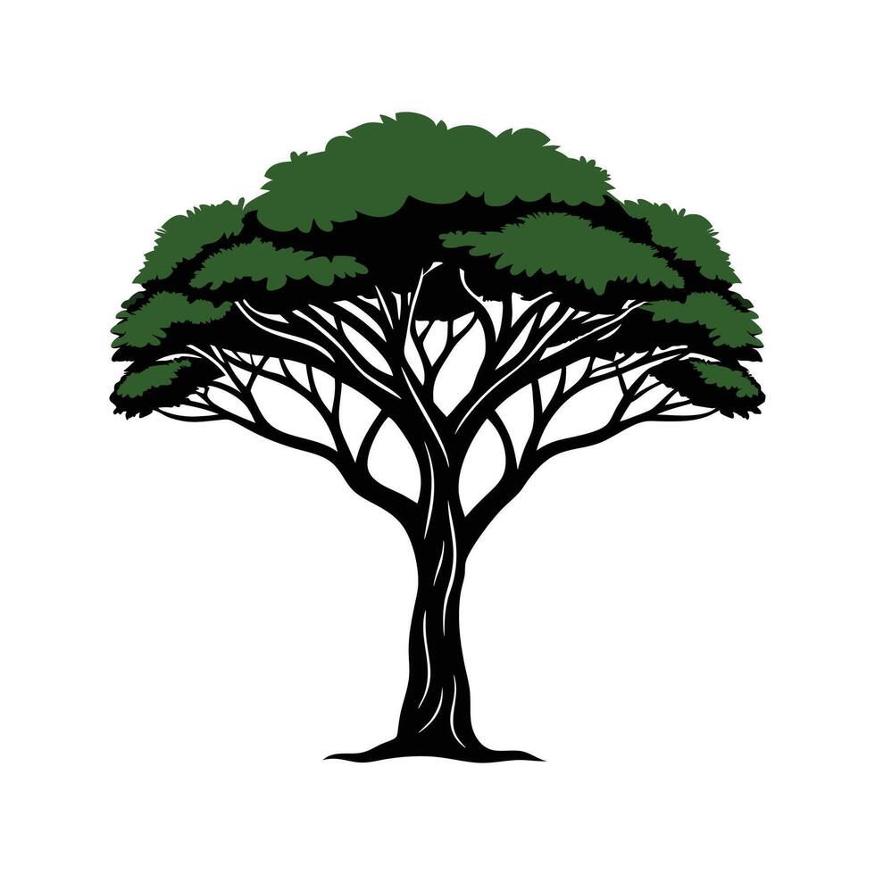 Realistic African Blackwood Tree Bold Outline Design 2 vector