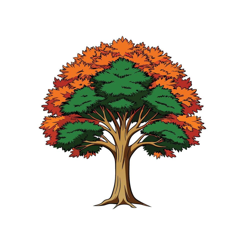 Realistic American Beech Tree Bold Outline Design 1 vector