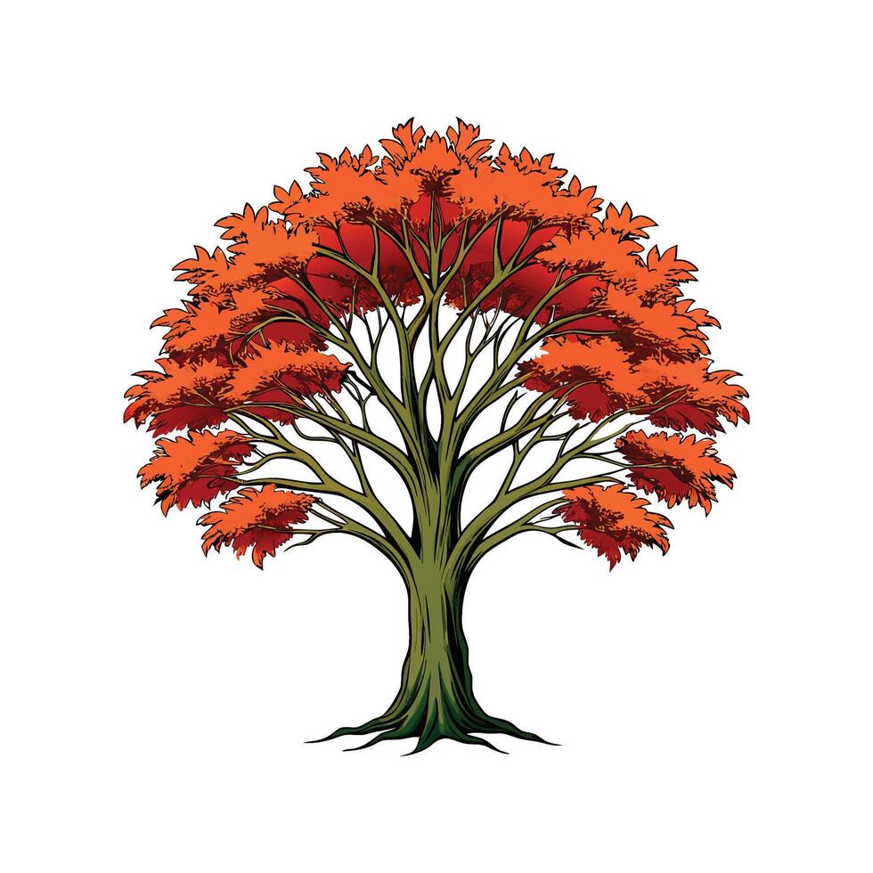 Distinct American Beech Tree Outline Art vector