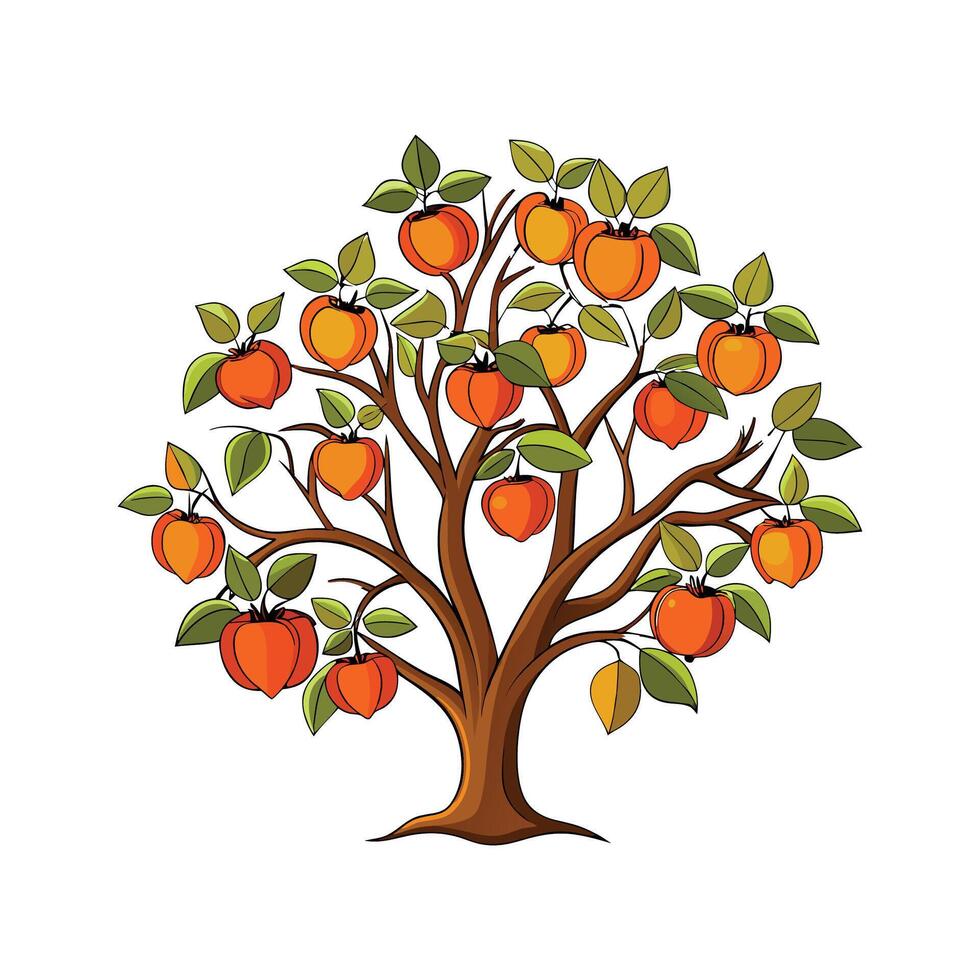 Realistic American Persimmon Tree Bold Outline Design 2 vector