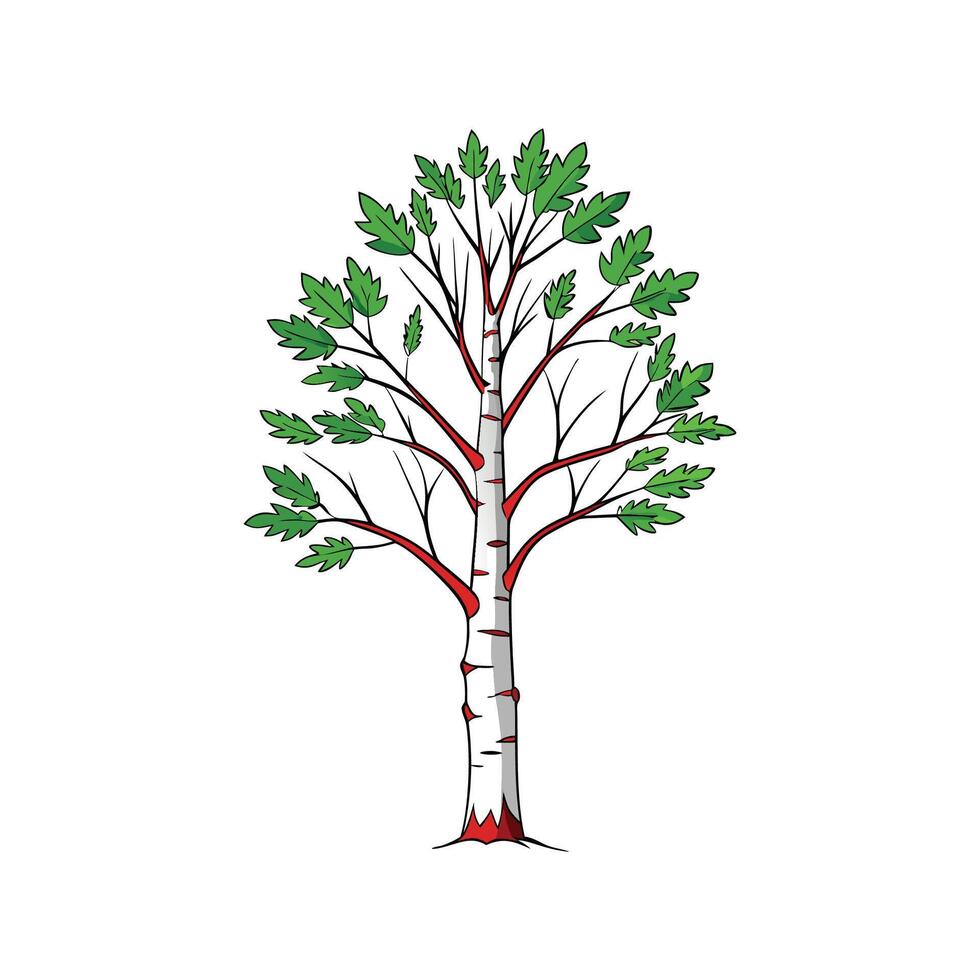 Realistic Birch Tree Bold Outline Design 2 vector