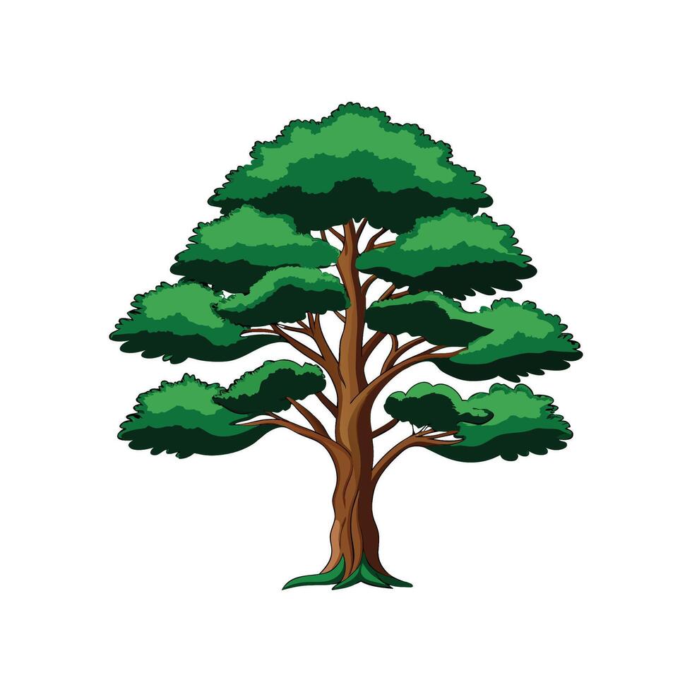 Realistic Brazilian Pine Tree Bold Outline Design 3 vector