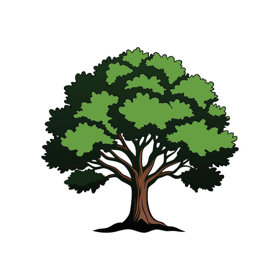 Realistic California Black Oak Tree Bold Outline Design 1 vector