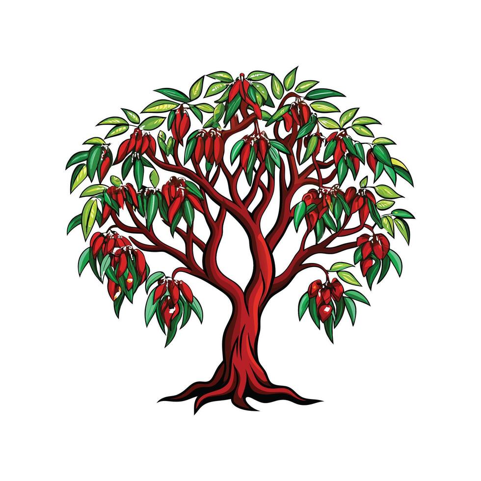 Realistic Chinese Pepper Tree Bold Outline Design 3 vector