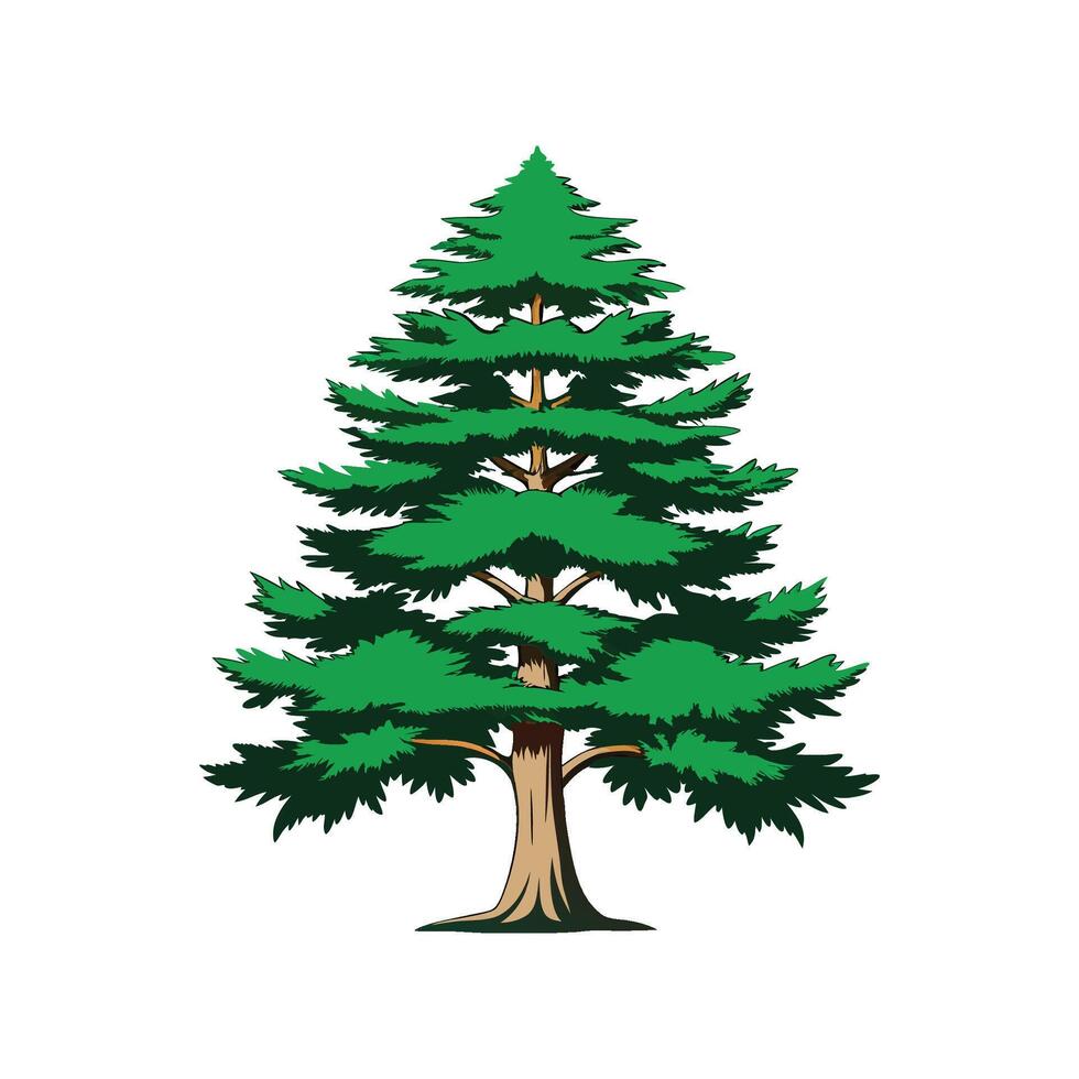 Realistic Eastern White Cedar Tree Bold Outline Design 2 vector