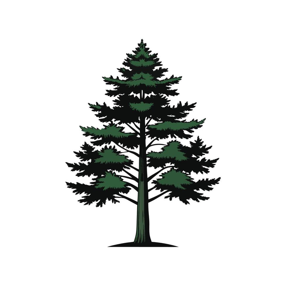 Distinct European Black Pine Tree Outline Art vector