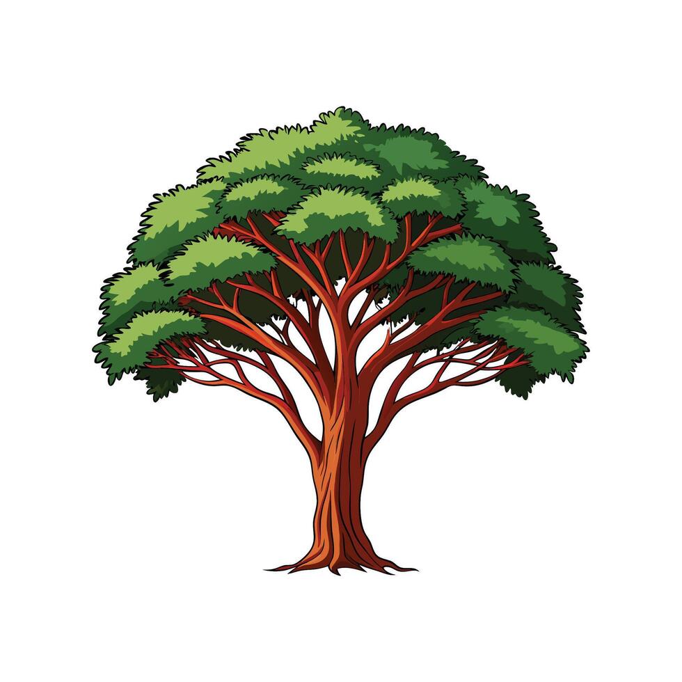 Realistic Florida Mahogany Tree Bold Outline Design 1 vector