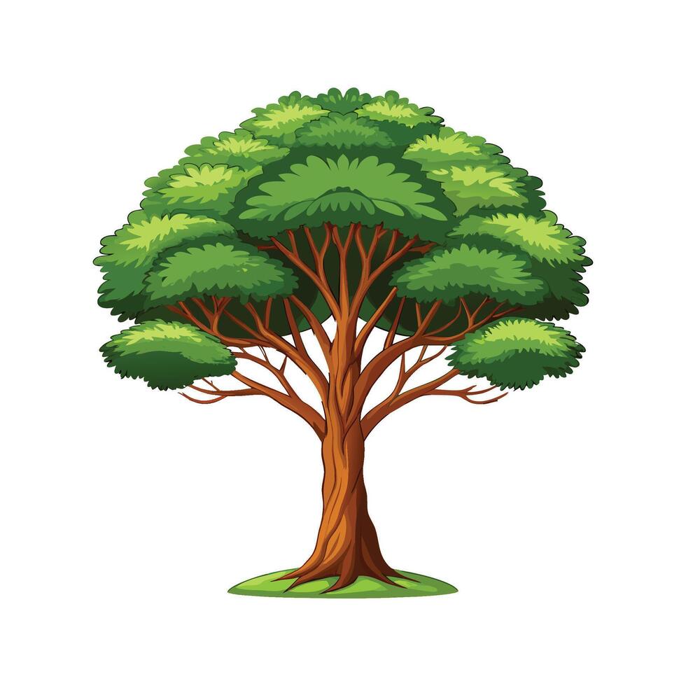 Realistic Florida Mahogany Tree Bold Outline Design 3 vector