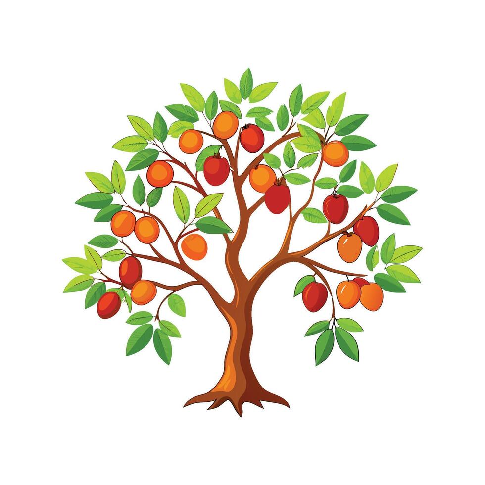 Distinct Indian Jujube Tree Outline Art vector