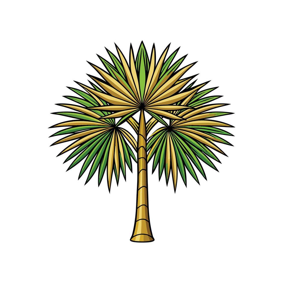 Realistic Japanese Fan Palm Tree Bold Outline Design 1 vector