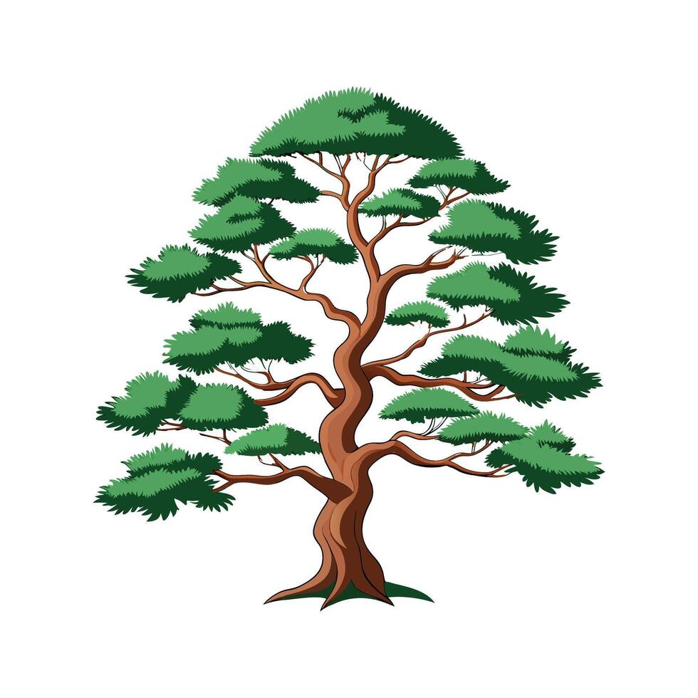 Realistic Japanese White Pine Tree Bold Outline Design 2 vector