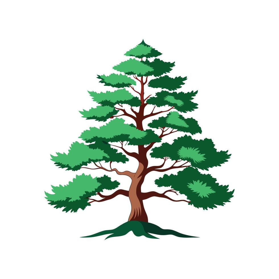 Realistic Japanese White Pine Tree Bold Outline Design 1 vector