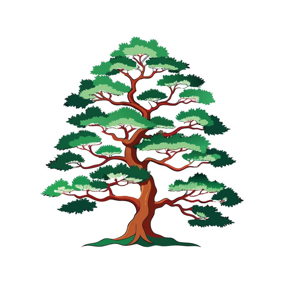 Distinct Japanese White Pine Tree Outline Art vector