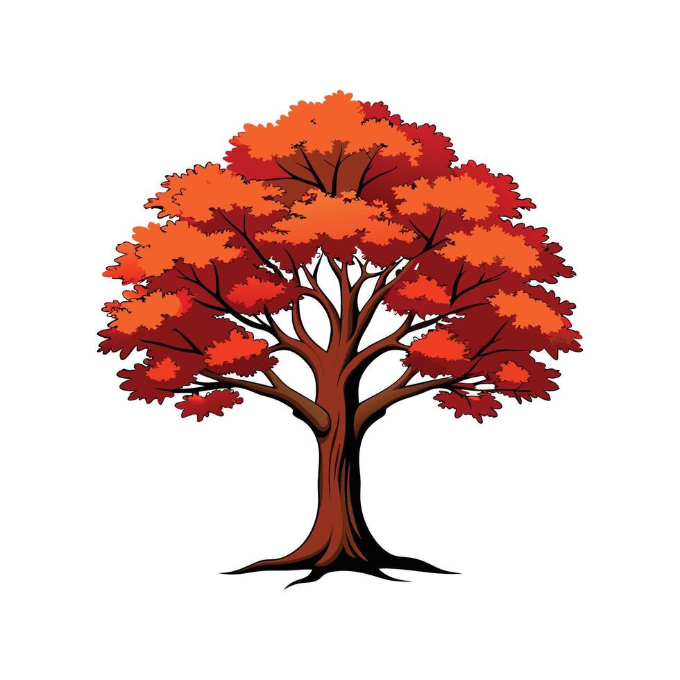 Realistic New Zealand Beech Tree Bold Outline Design 3 vector
