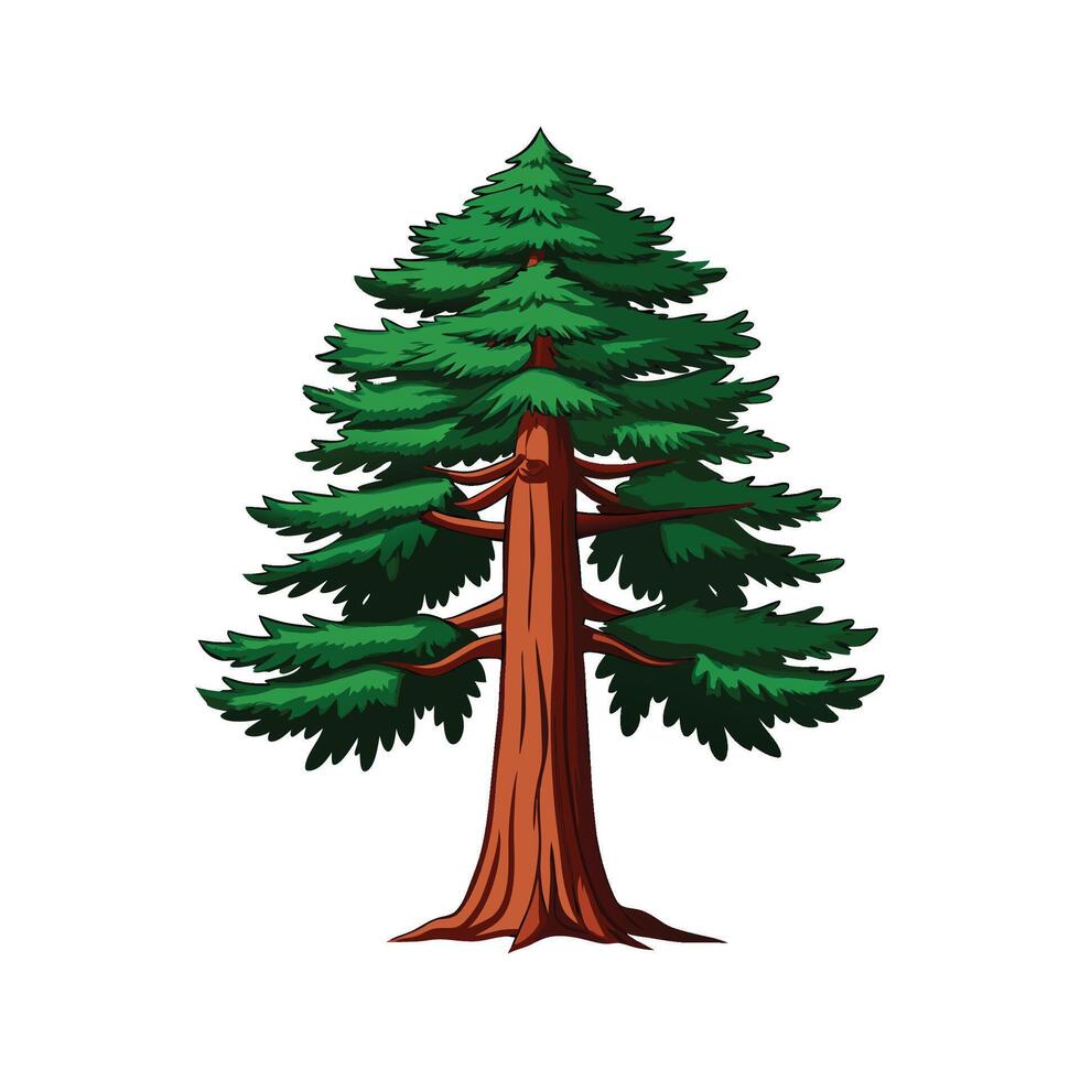 Realistic Pacific Coast Redwood Tree Bold Outline Design 2 vector