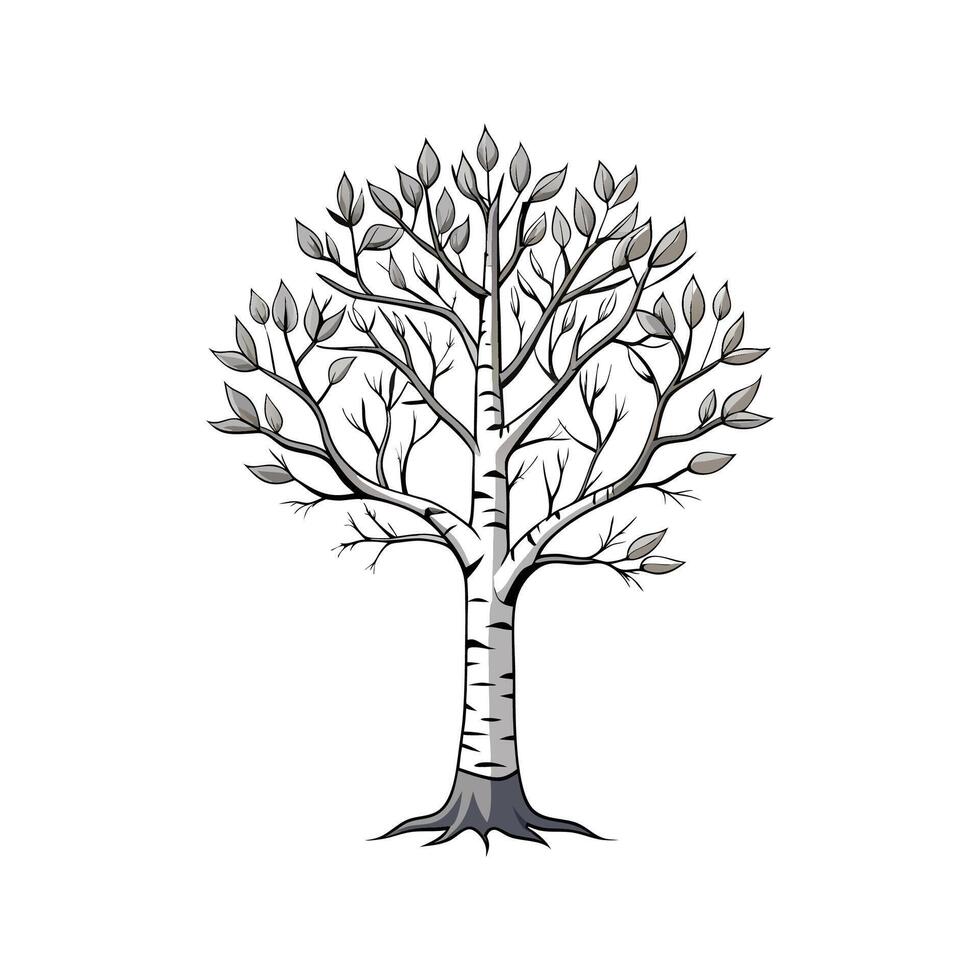Realistic Silver Birch Tree Bold Outline Design 2 vector