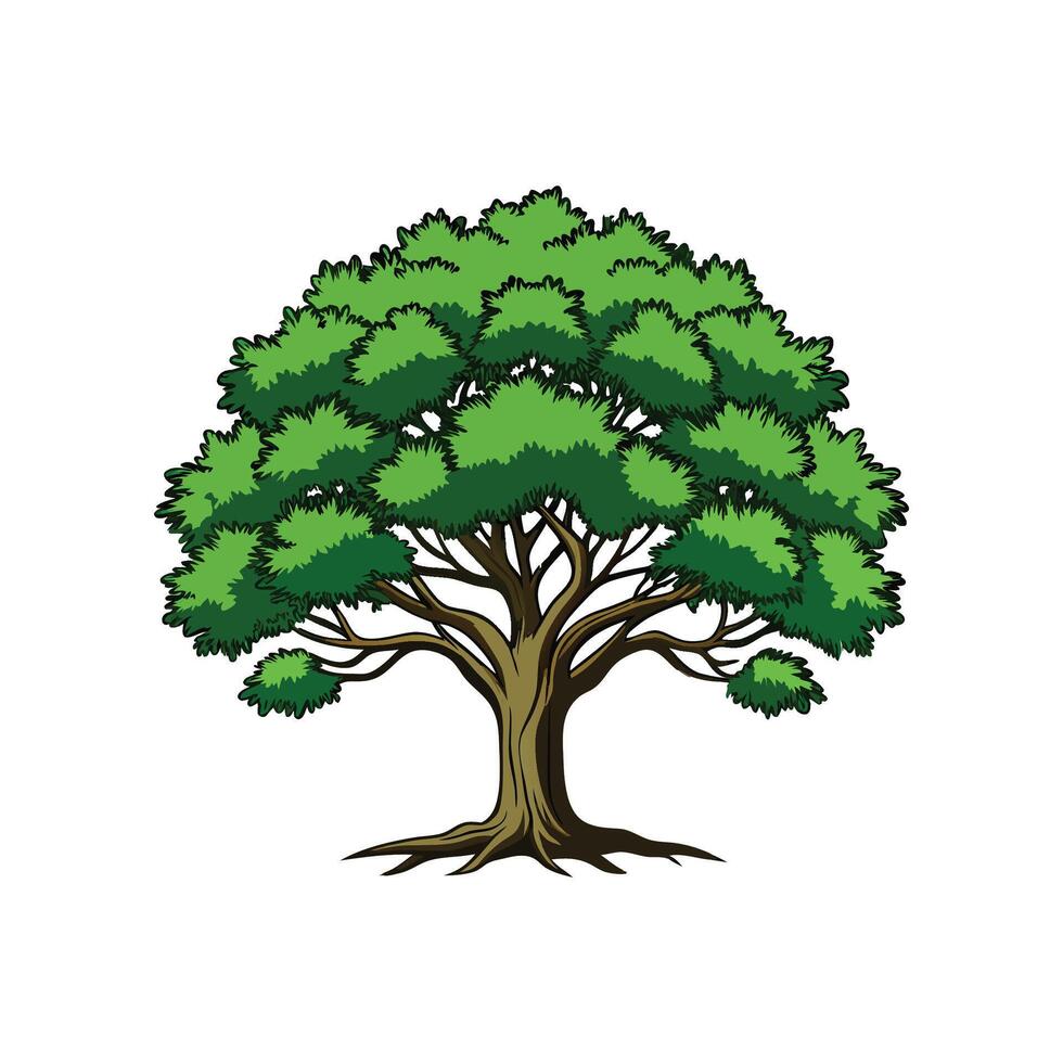 Realistic Southern Live Oak Tree Bold Outline Design 3 vector