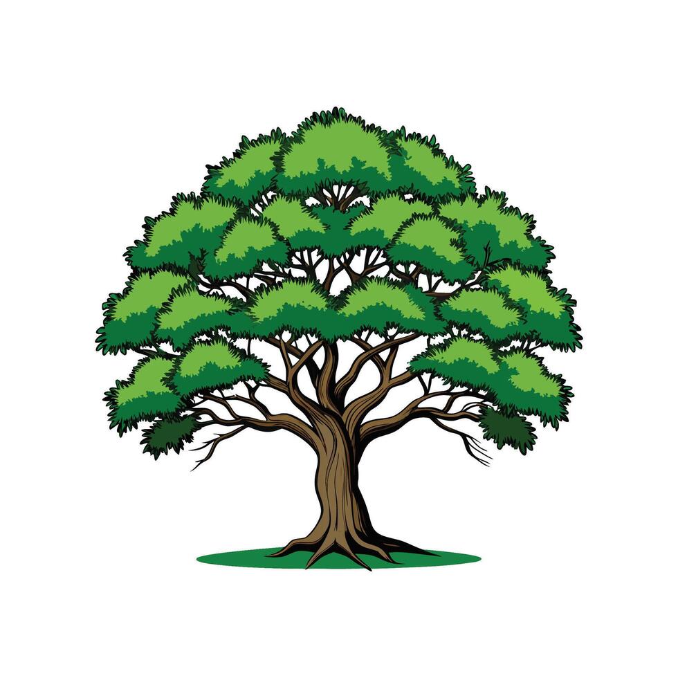 Realistic Southern Live Oak Tree Bold Outline Design 2 vector