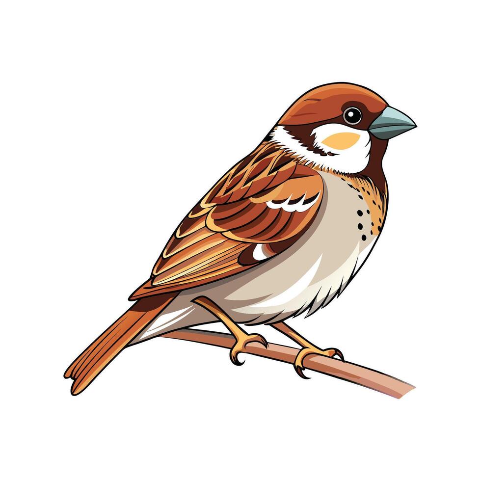 Realistic Sparrow on a Branch Bold Outline Design 3 vector