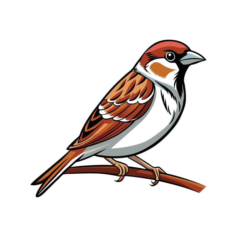 Realistic Sparrow on a Branch Bold Outline Design 1 vector