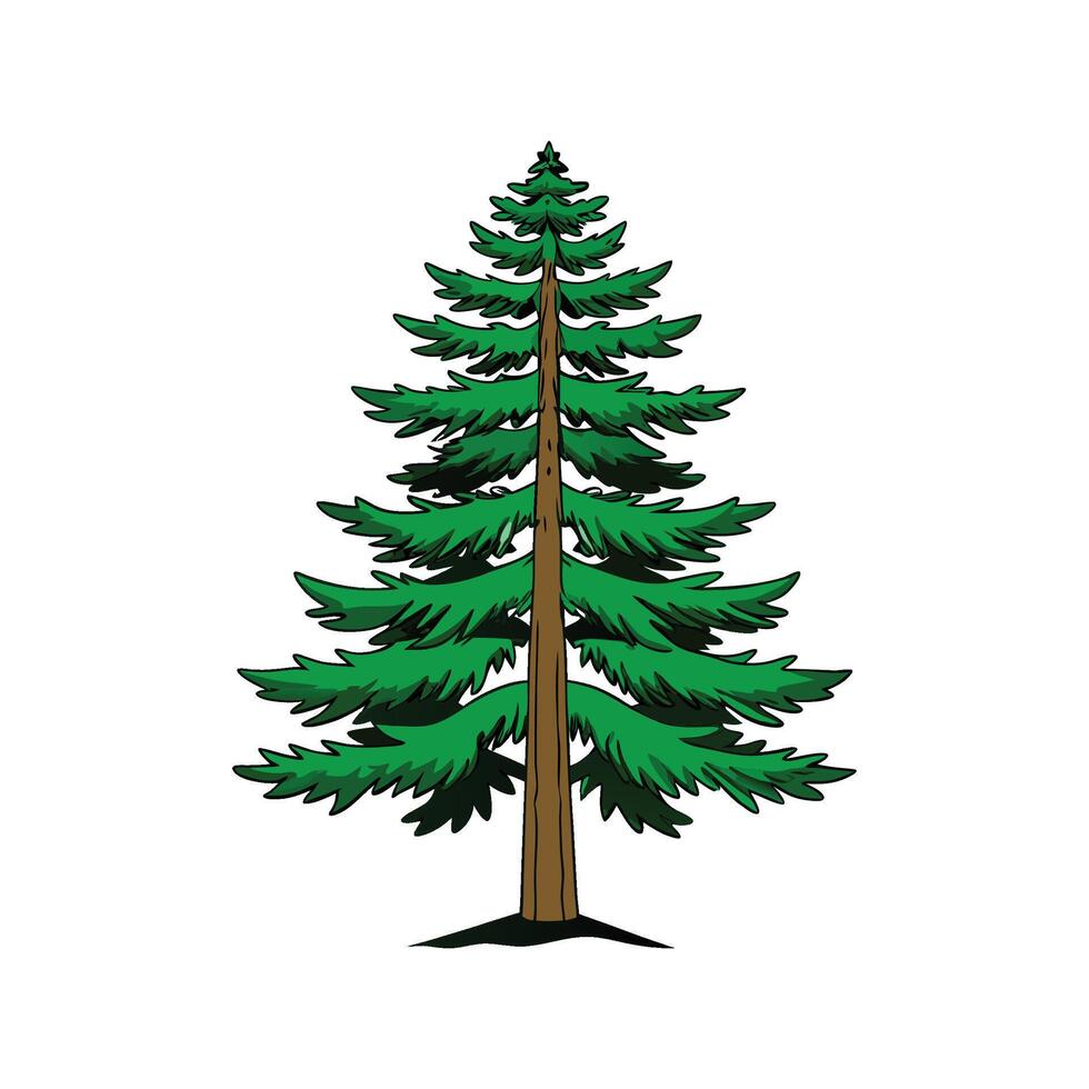 Distinct Sugar Pine Tree Outline Art vector