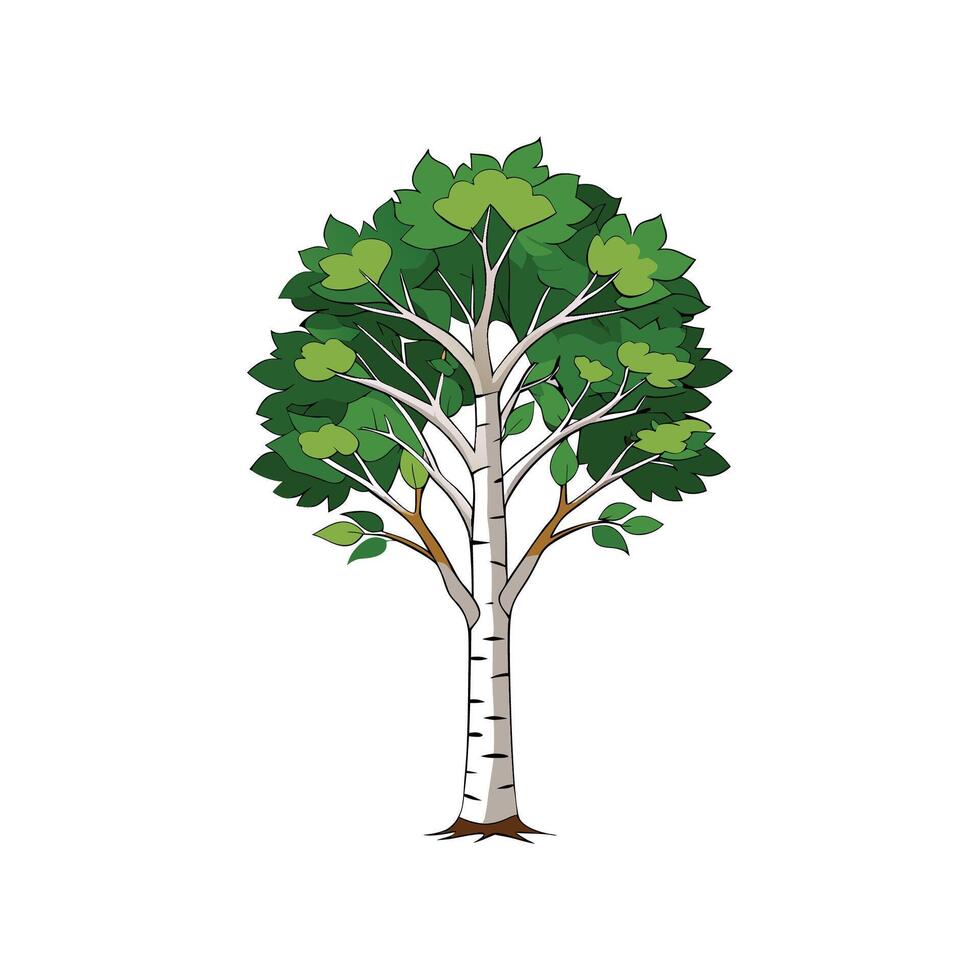 Realistic Sweet Birch Tree Bold Outline Design 2 vector