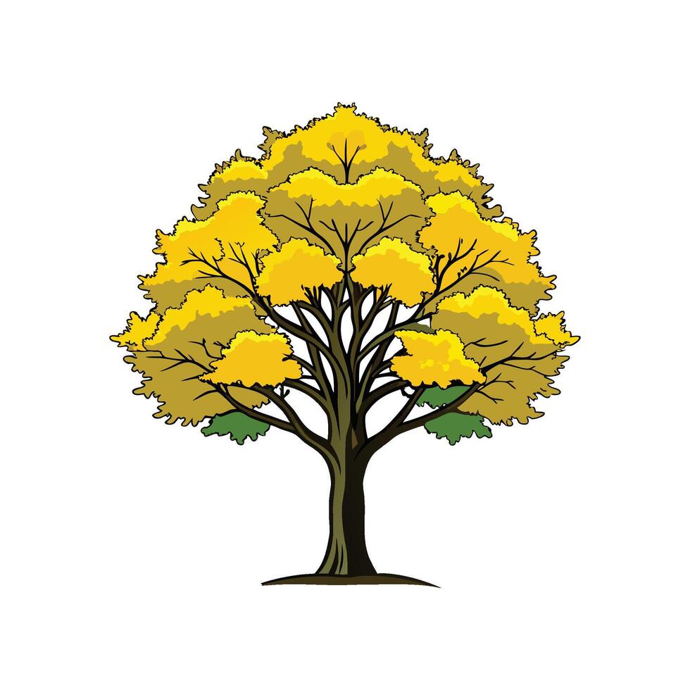 Realistic Tennessee Yellowwood Tree Bold Outline Design 1 vector