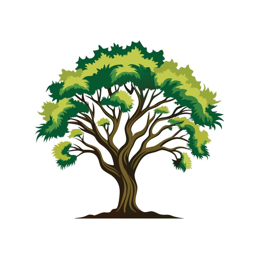 Realistic Texas Mesquite Tree Bold Outline Design 1 vector