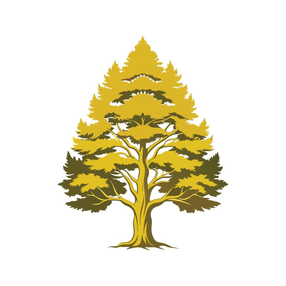 Realistic Vietnamese Golden Cypress Tree Bold Outline Design 1 vector