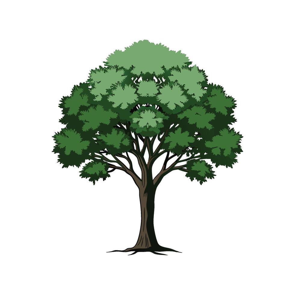 Realistic Whitebeam Tree Bold Outline Design 2 vector